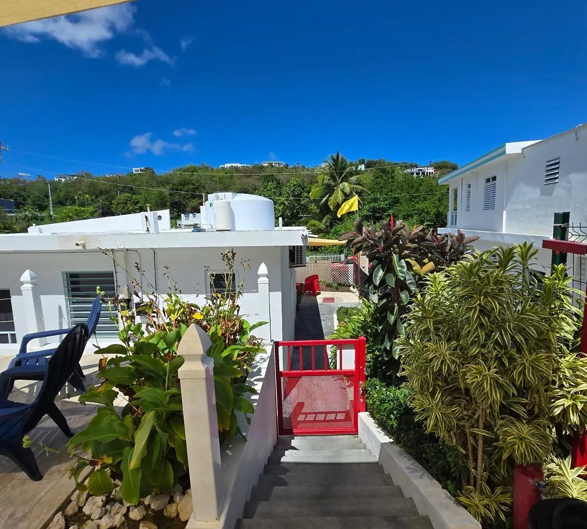 Naguabo Casa Coloraヴィラ 別荘
